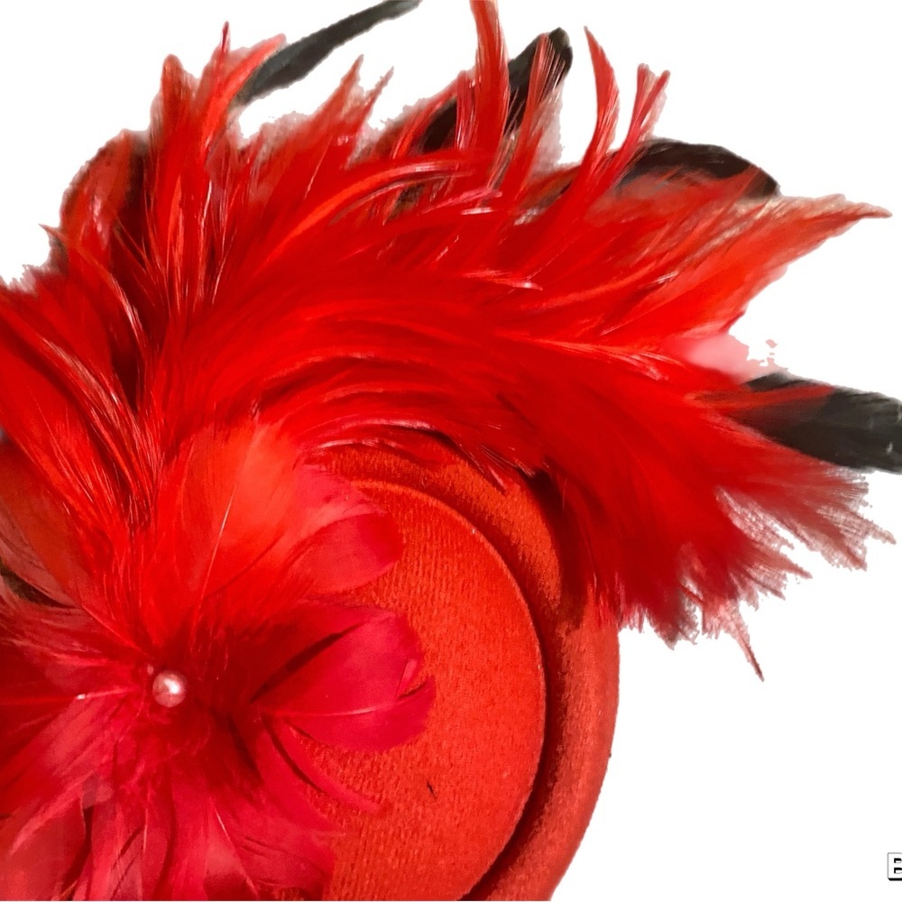 Red Hat with Feathers and Textured Design